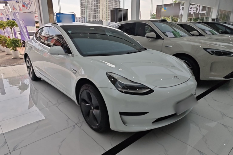 Tesla Model 3 2020 #4 Tesla Model 3 2020 car image #4