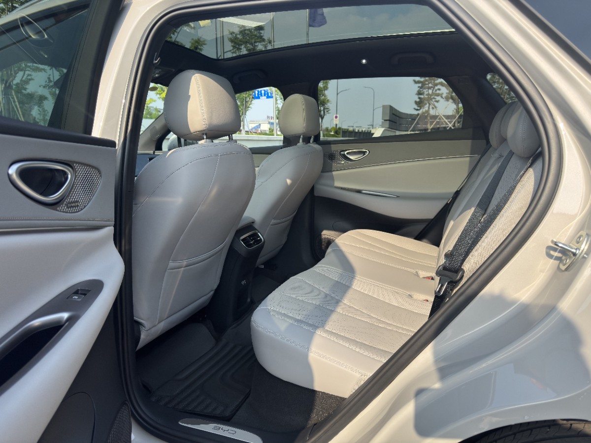 BYD Sea Lion 06 New Energy 2025 car image #4