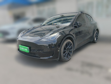 Tesla Model Y 2022 car image 