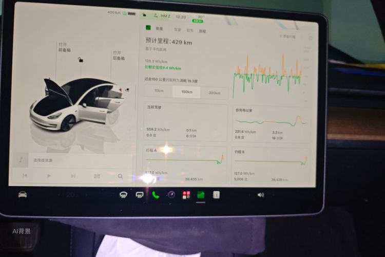 Tesla Model 3 2023 car image #15