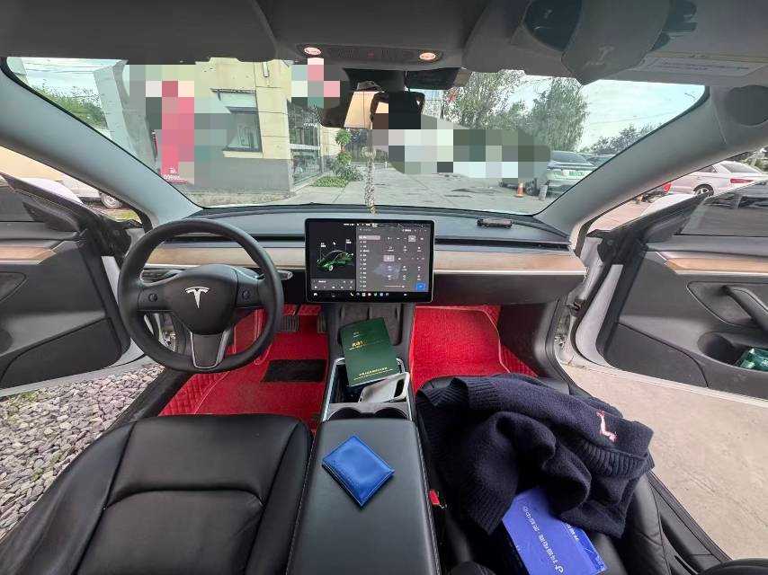 Tesla Model 3 2021 #6 Tesla Model 3 2021 immagine di auto #6