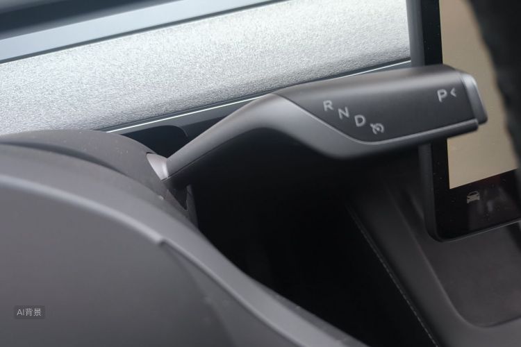 Tesla Model Y 2024 car image #16