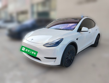 Tesla Model Y 2023 Tesla Model Y 2023 car image