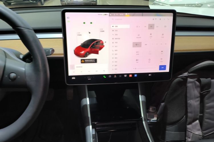 Tesla Model 3 2020 car image #17