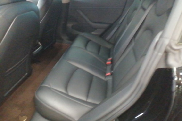 Tesla Model 3 2020 #17 Tesla Model 3 2020 car image #17