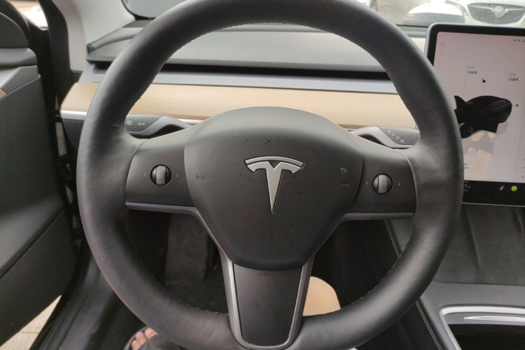 Tesla Model 3 2022 #15 Tesla Model 3 2022 car image #15