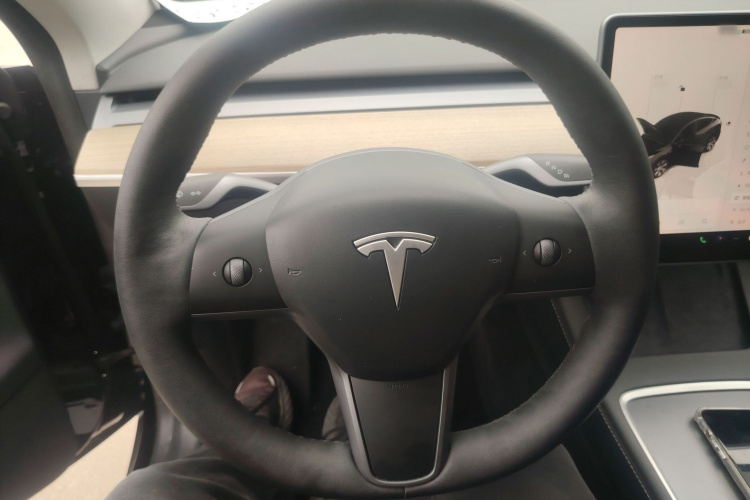 Tesla Model Y 2022 car image #11