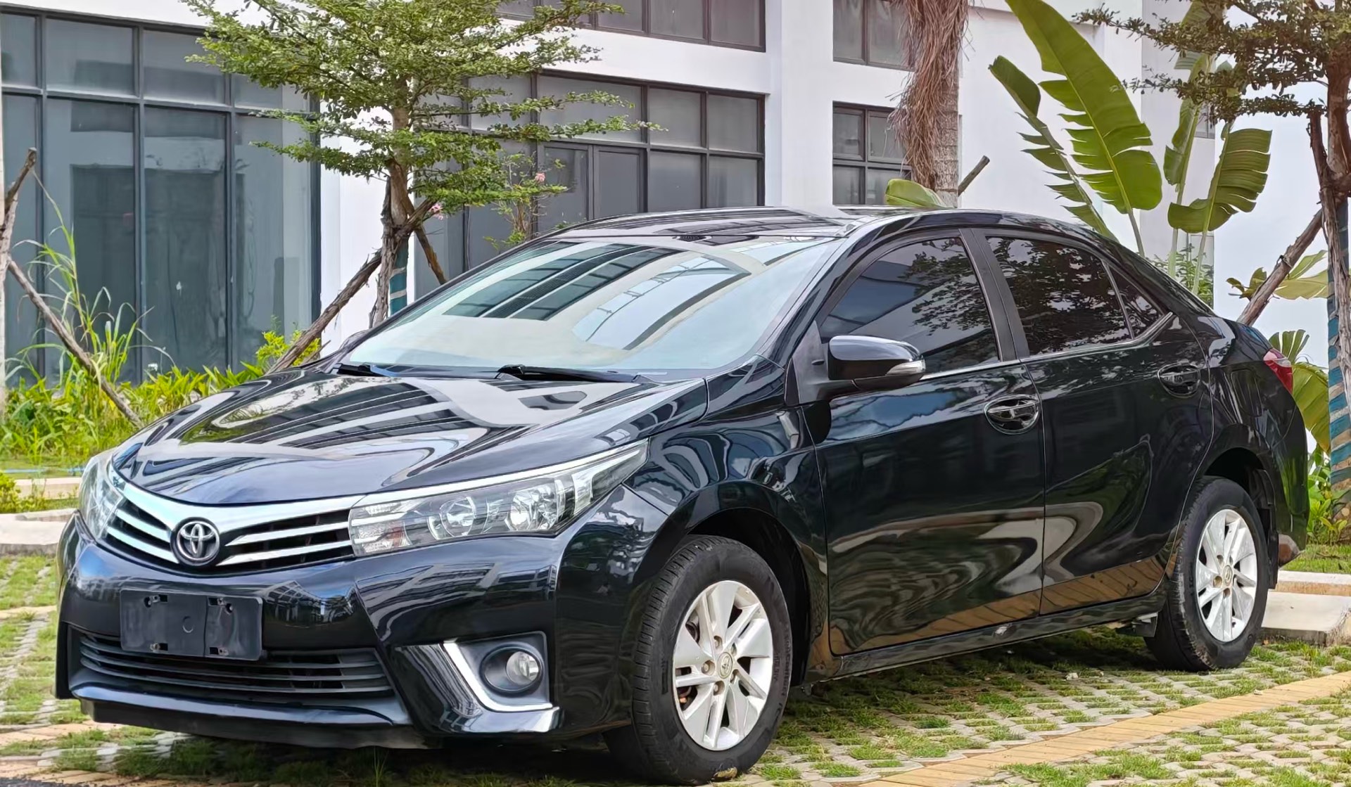 Toyota Corolla 2017 Toyota Corolla 2017 car image