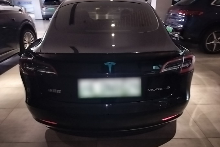 Tesla Model 3 2020 #6 Tesla Model 3 2020 car image #6