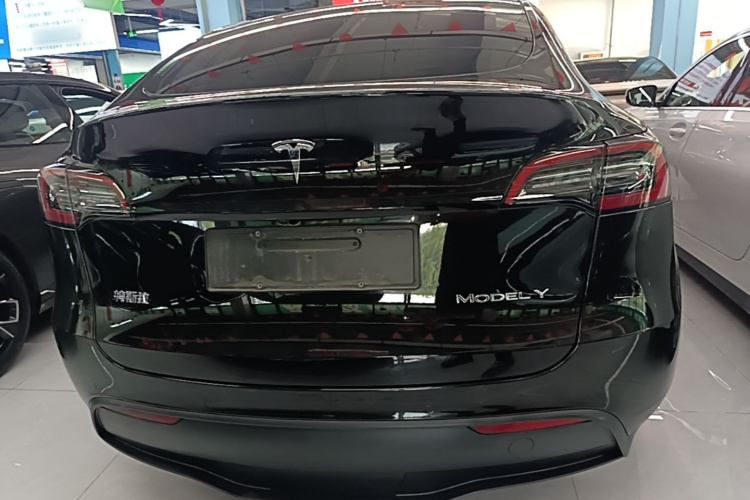 Tesla Model Y 2021 immagine di auto #6