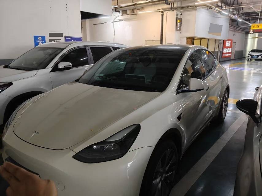 Tesla Model Y 2023 Tesla Model Y 2023 car image