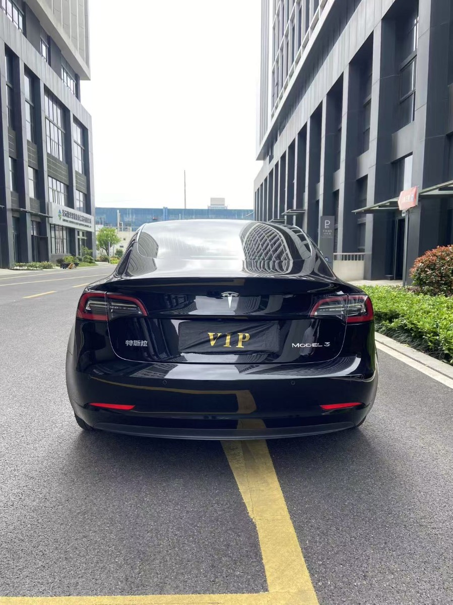Tesla Model 3 2020 #5 Tesla Model 3 2020 car image #5
