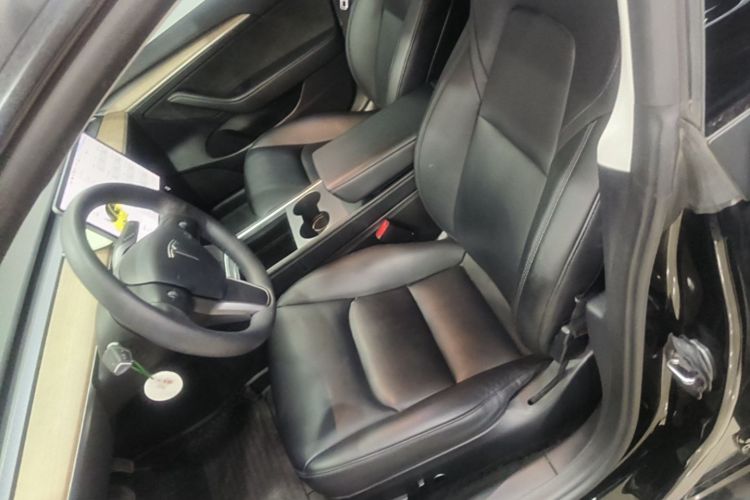 Tesla Model 3 2021 car image #19