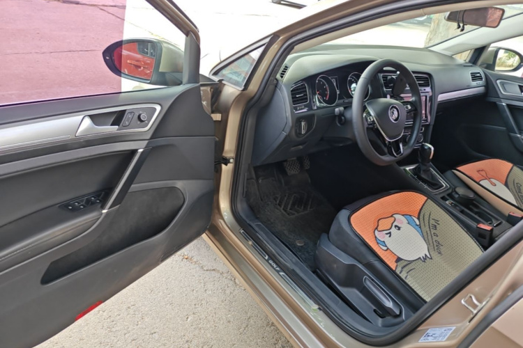 Volkswagen Golf 2019 #16 Volkswagen Golf 2019 car image #16