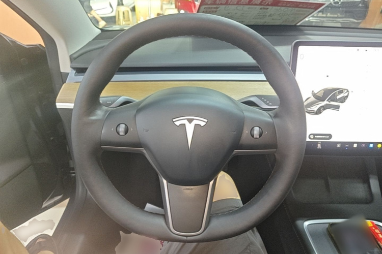 Tesla Model 3 2021 car image #11