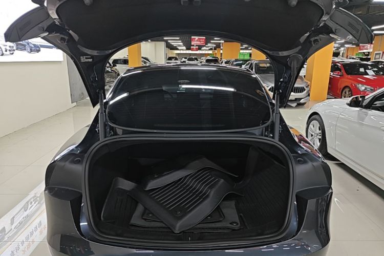 Tesla Model 3 2024 immagine di auto #19