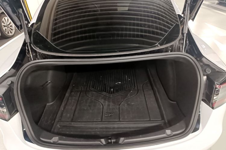 Tesla Model 3 2020 car image #19