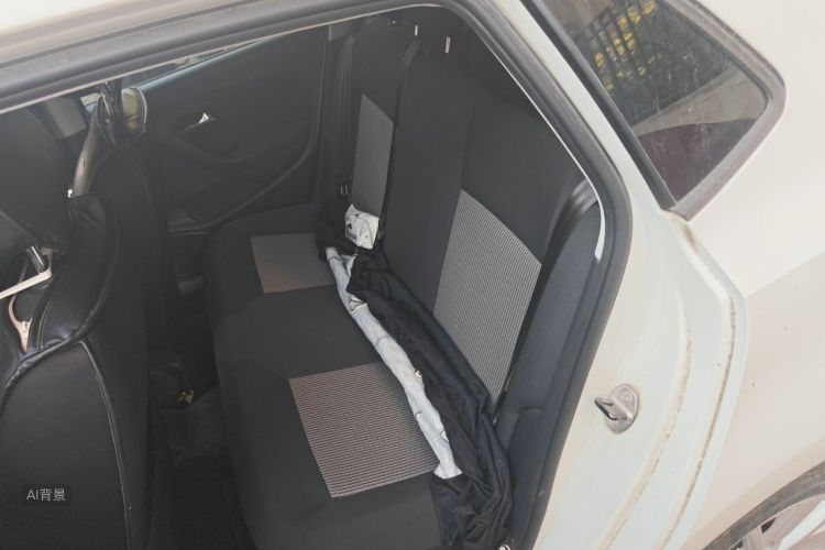 Volkswagen Polo 2018 car image #19