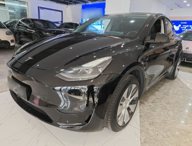 Tesla Model Y 2023 Tesla Model Y 2023 car image