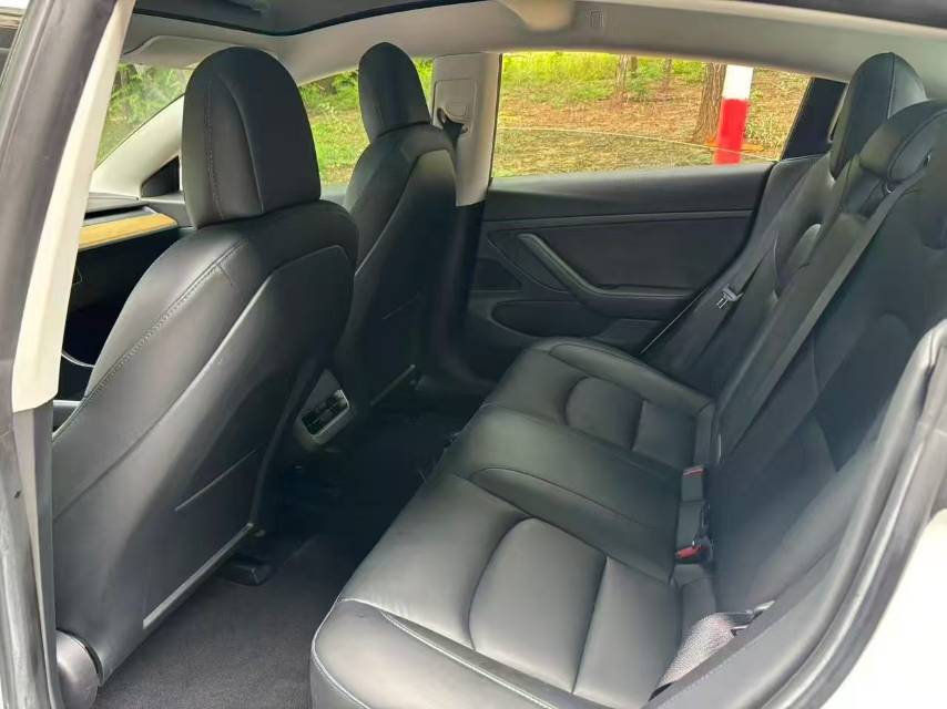 Tesla Model 3 2020 #5 Tesla Model 3 2020 car image #5