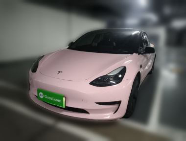 Tesla Model 3 2023 car image 