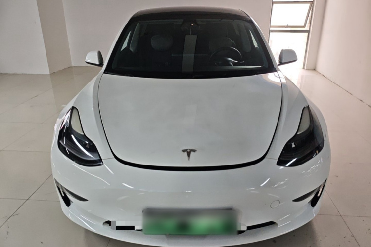 Tesla Model 3 2022 #3 Tesla Model 3 2022 car image #3