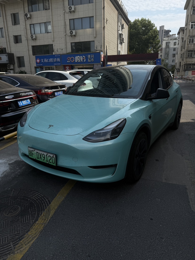 Tesla Model Y 2023 Tesla Model Y 2023 car image