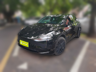 Tesla Model Y 2023 immagine di auto 