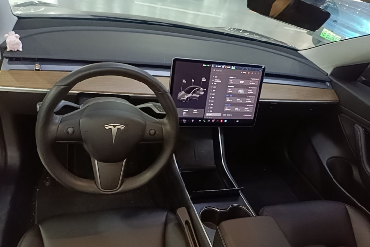Tesla Model 3 2020 #10 Tesla Model 3 2020 immagine di auto #10