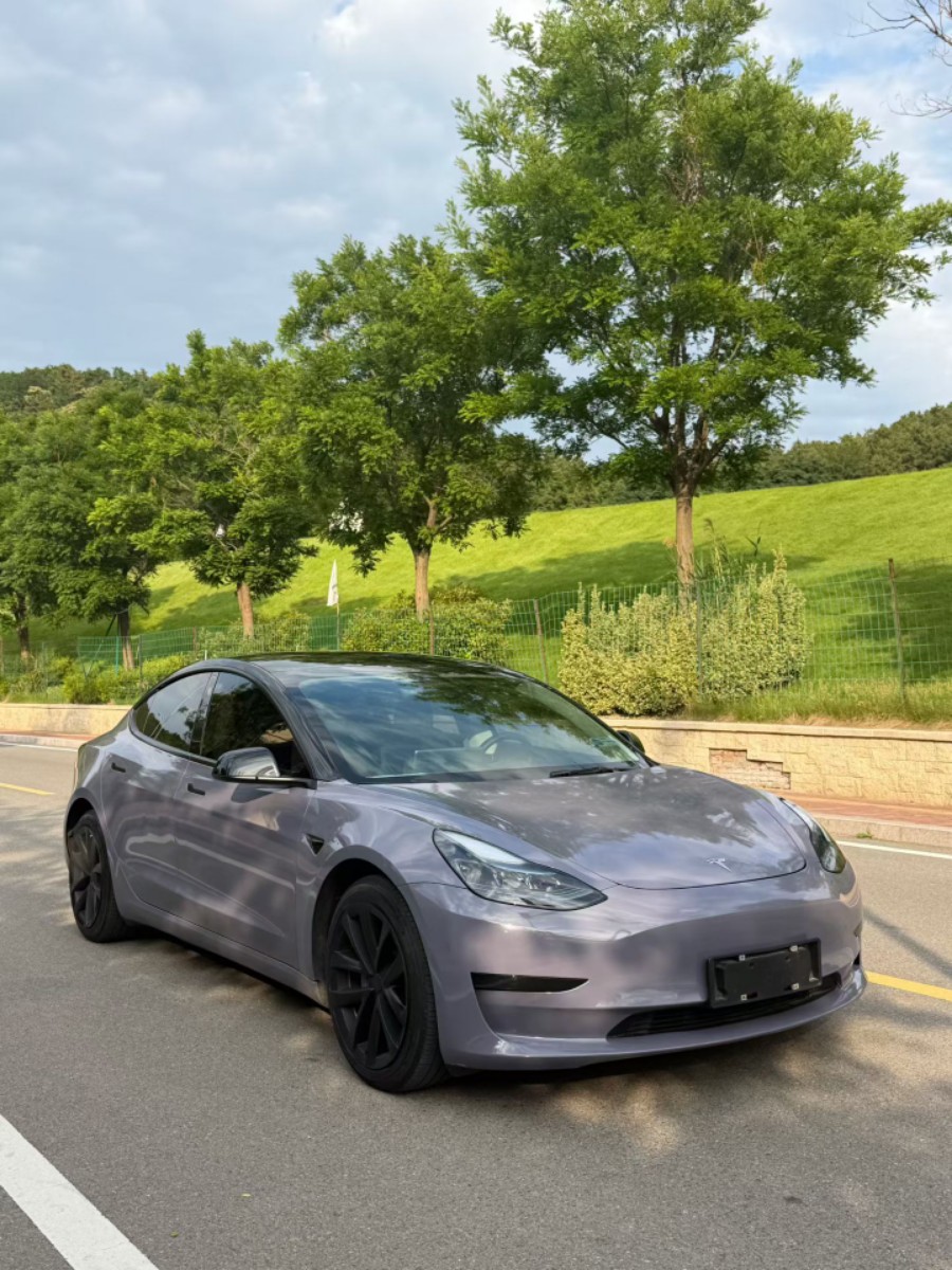 Tesla Model 3 2021 immagine di auto 