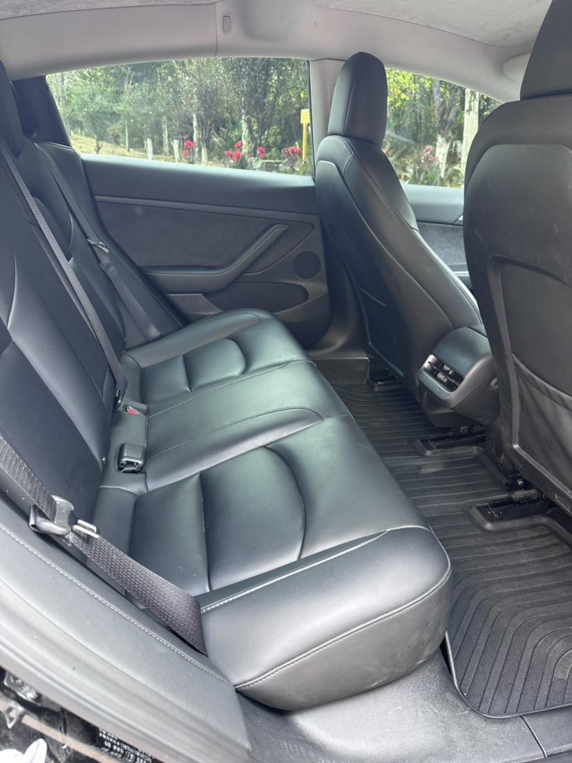 Tesla Model 3 2021 car image #5