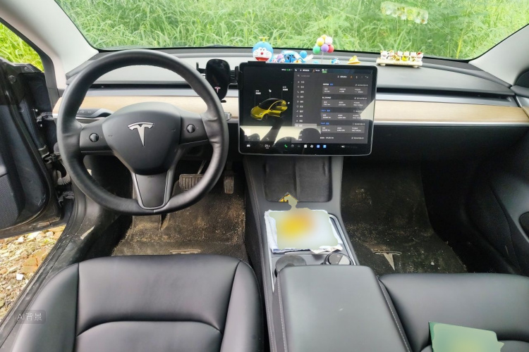 Tesla Model 3 2021 #11 Tesla Model 3 2021 car image #11