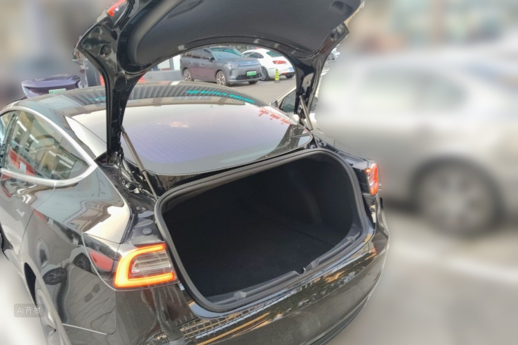 Tesla Model 3 2020 #21 Tesla Model 3 2020 car image #21