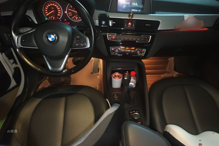 BMW X1 2018 car image #11