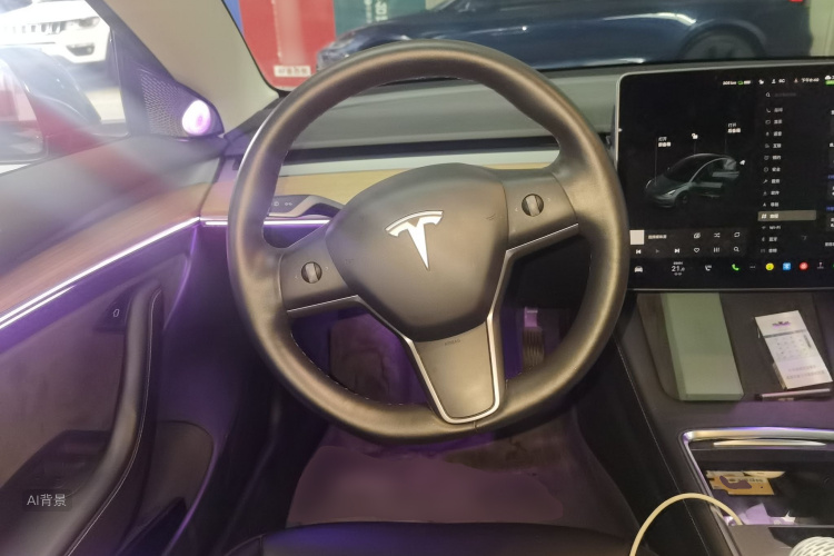 Tesla Model 3 2022 #12 Tesla Model 3 2022 car image #12