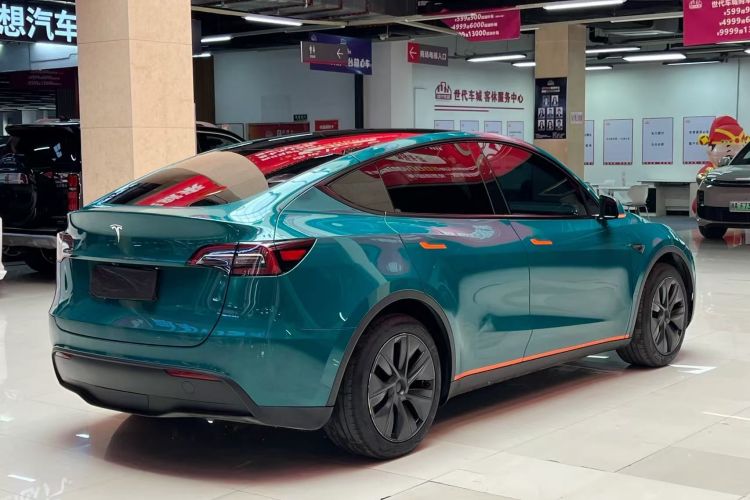 Tesla Model Y 2024 car image #6