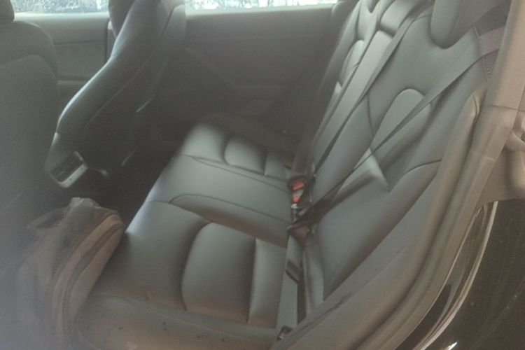 Tesla Model 3 2022 #17 Tesla Model 3 2022 car image #17