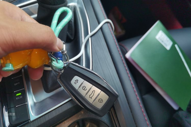 GEELY Binray 2020 #10 GEELY Binray 2020 immagine di auto #10