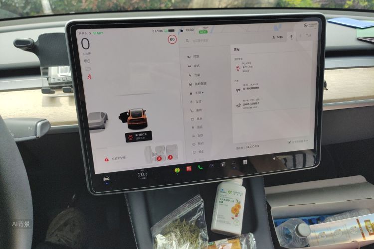 Tesla Model Y 2022 #15 Tesla Model Y 2022 car image #15