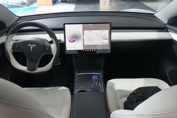 Tesla Model 3 2021 car image #11