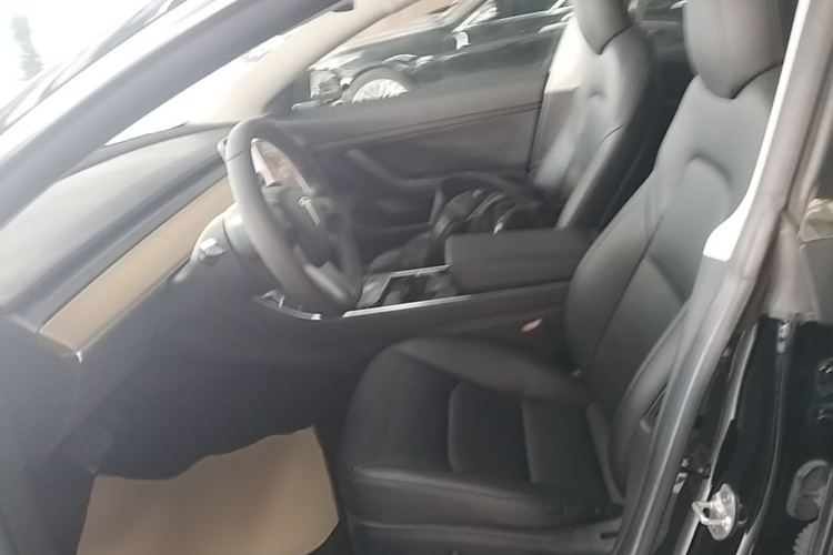 Tesla Model 3 2020 immagine di auto #15