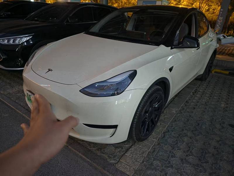 Tesla Model Y 2023 Tesla Model Y 2023 car image