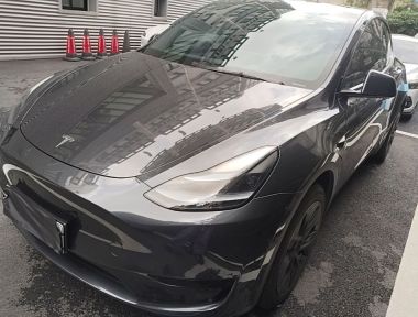 Tesla Model Y 2024 Tesla Model Y 2024 car image