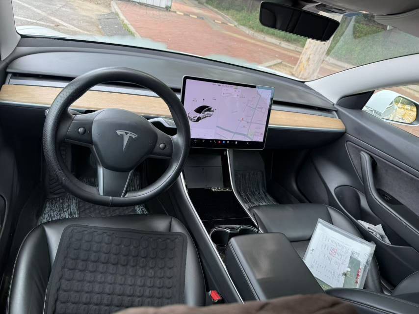 Tesla Model 3 2020 #4 Tesla Model 3 2020 car image #4