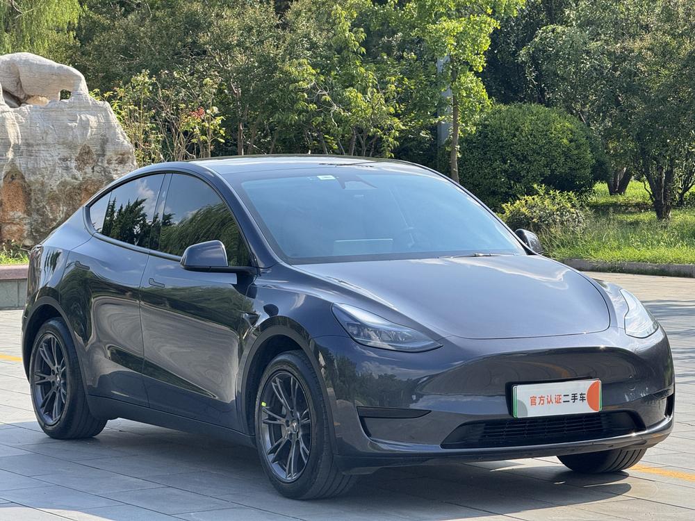 Tesla Model Y 2025 car image #3