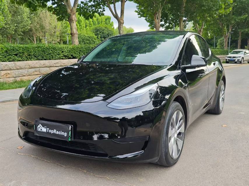 Tesla Model Y 2022 car image 