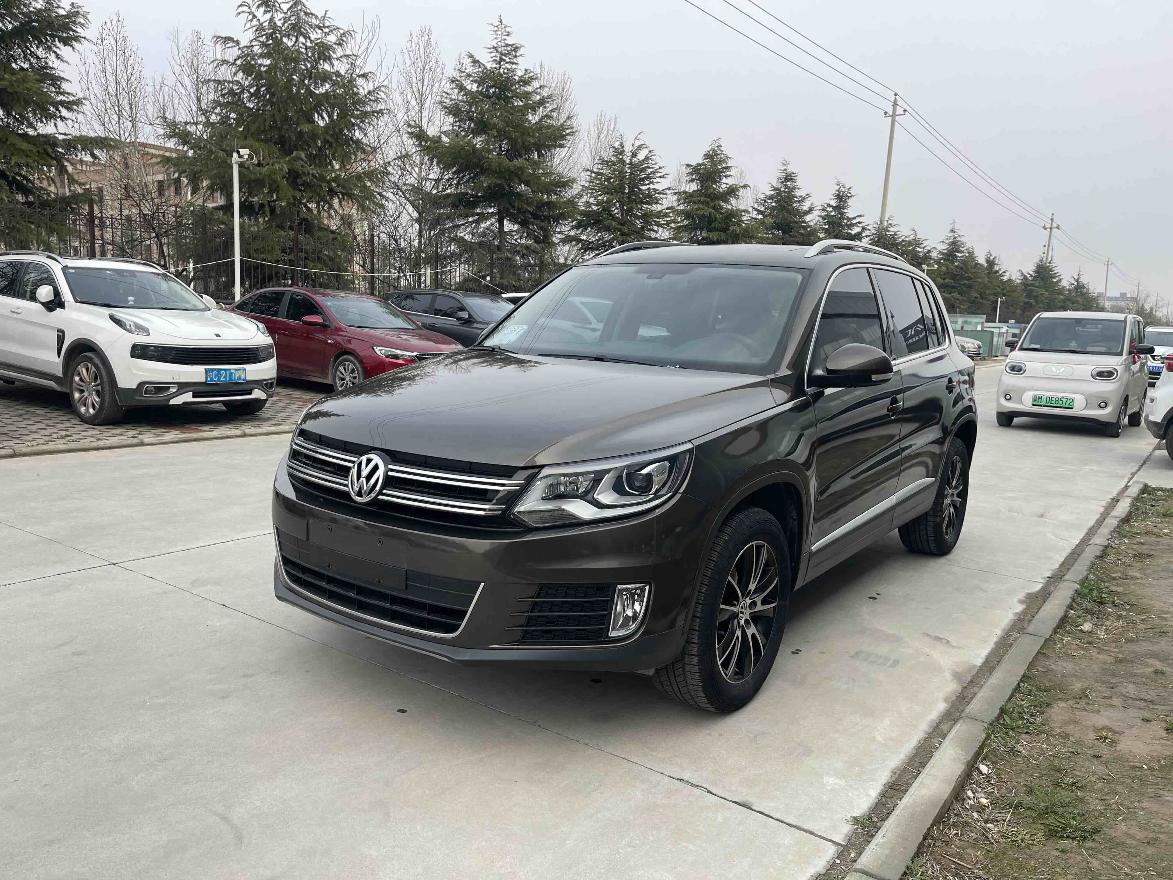 Volkswagen Tiguan 2016 汽车图片 