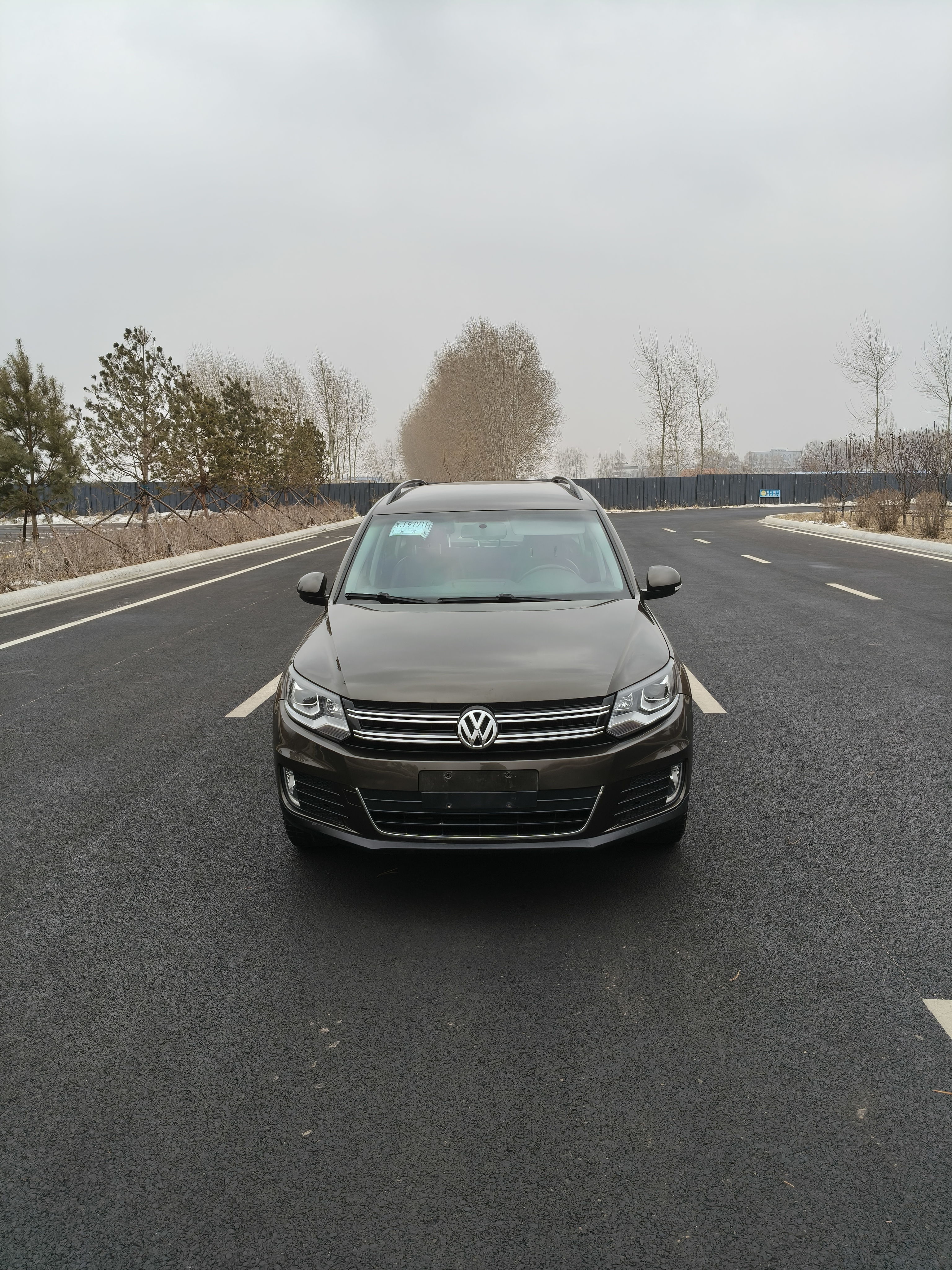 Volkswagen Tiguan 2016 immagine di auto 