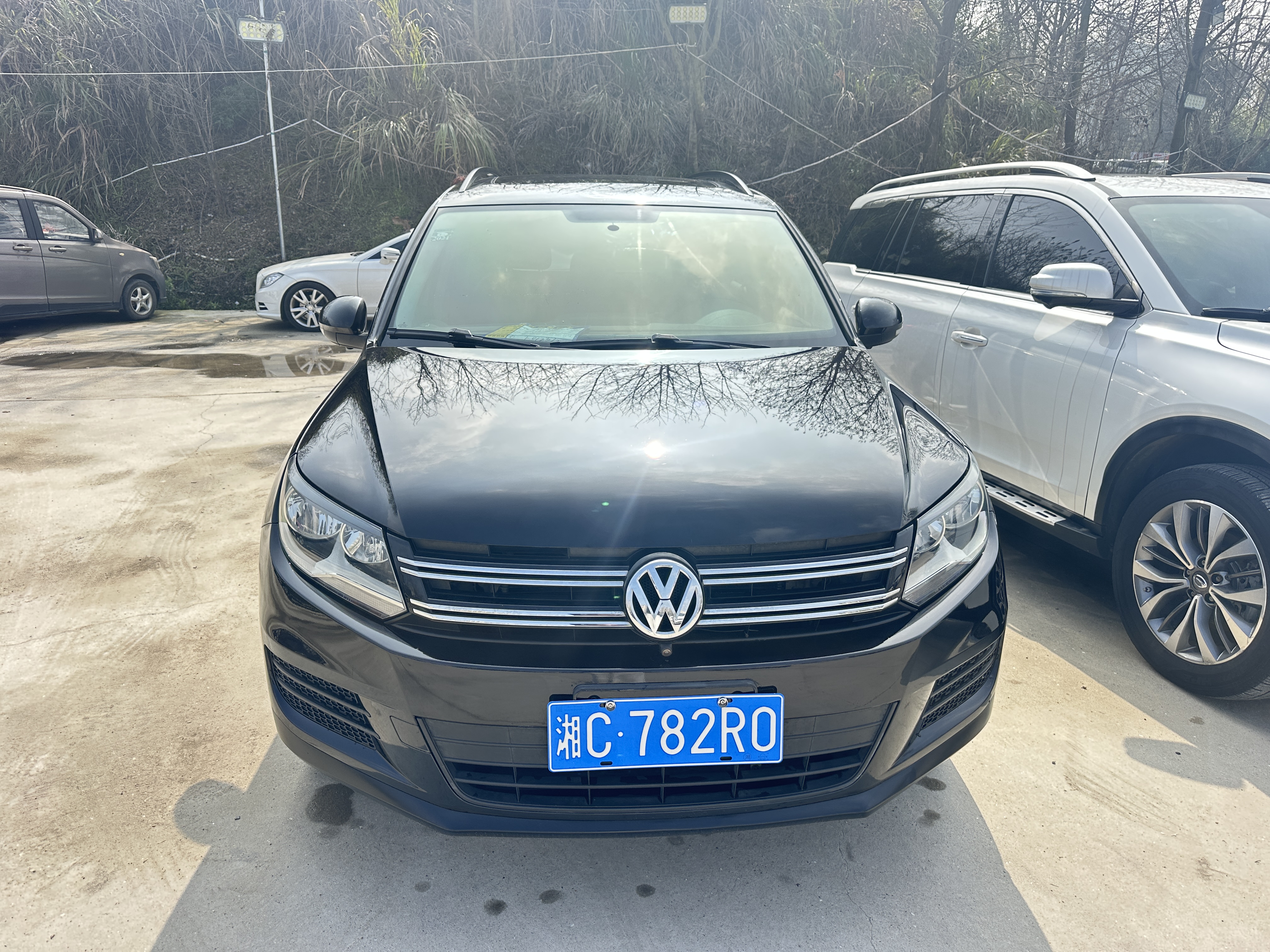 Volkswagen Tiguan 2017 汽车图片 