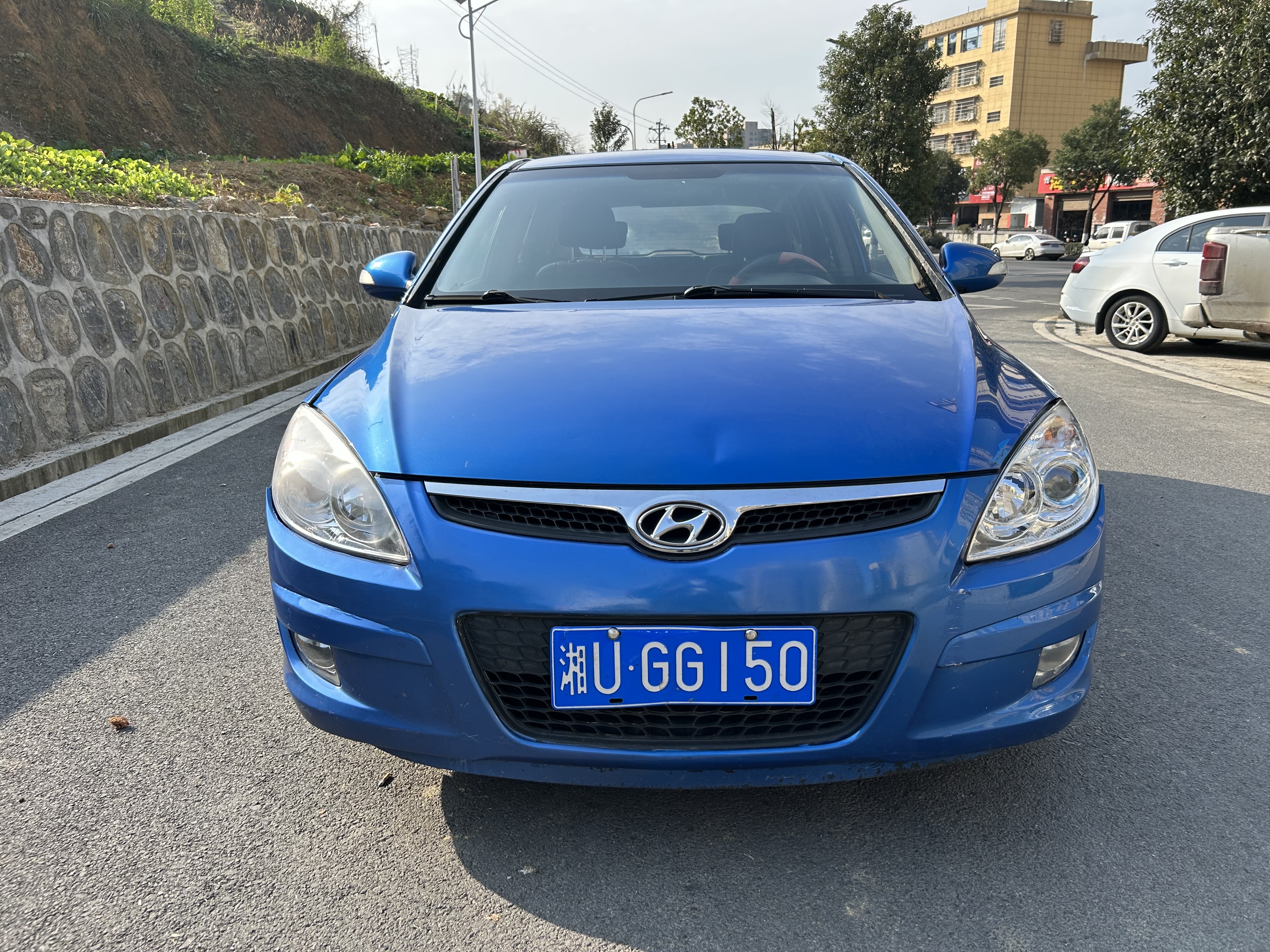 Hyundai i30 2010 car image 